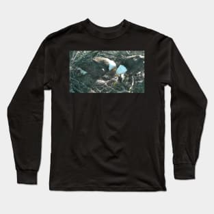 US Bald Eagles - Our National Bird VII Long Sleeve T-Shirt